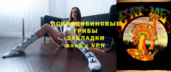 шишки Вязьма