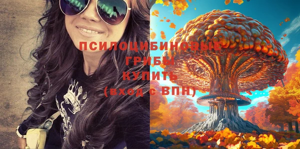 тгк Горняк